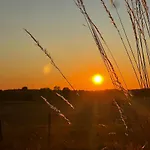 Pure Nature - Dein