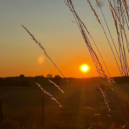 Pure Nature - Dein